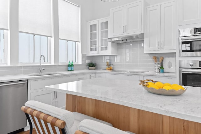 kitchen featuring under cabinet range hood, decorative backsplash, white cabinets, stainless steel appliances, and a sink