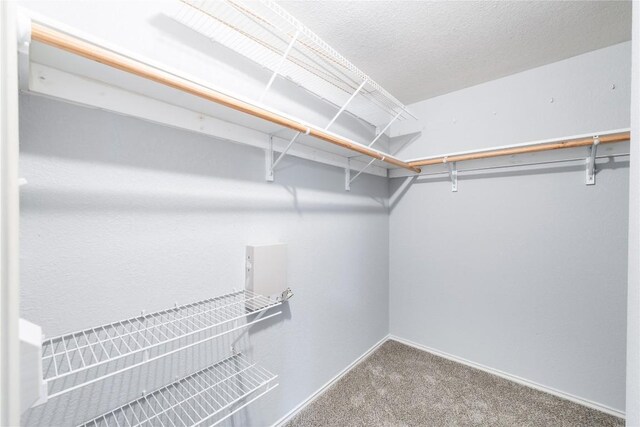 3524 Rock Shelf Ln, Round Rock, TX 78681 - walk in closet featuring carpet floors