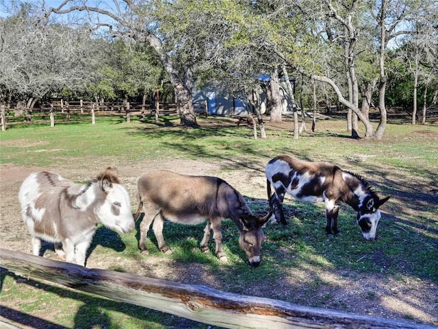 view of horse barn