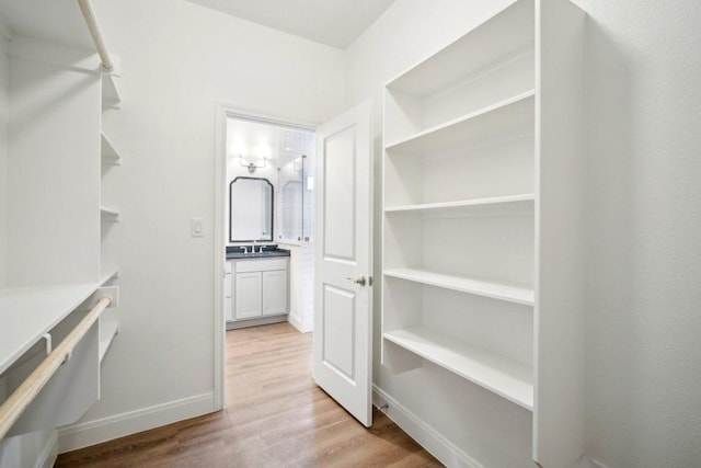 103 Manana Ct, Bastrop, TX 78602 - spacious closet with light wood-style flooring and a sink