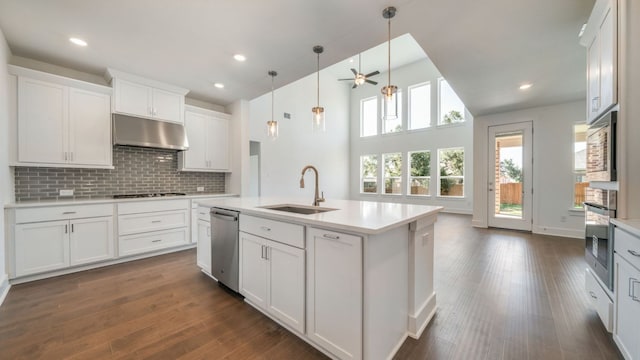 kitchen featuring a sink, light countertops, appliances with stainless steel finishes, under cabinet range hood, and white cabinetry