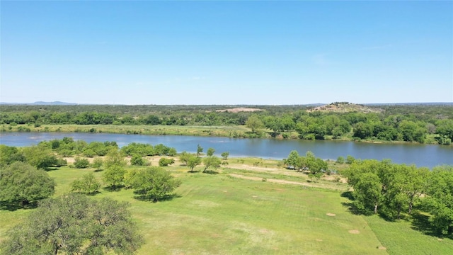 view of water feature featuring a view of trees