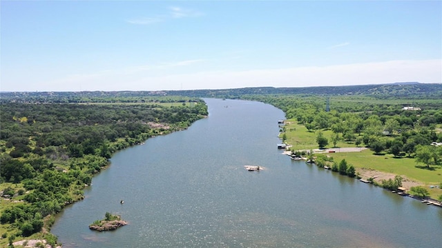 bird's eye view with a wooded view and a water view