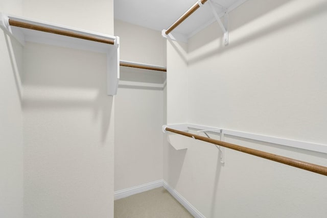 walk in closet featuring light colored carpet