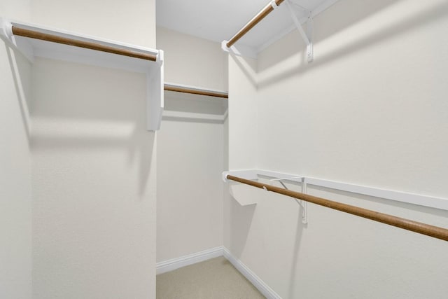6717 Blissfield Dr, Austin, TX 78739 - walk in closet with light carpet