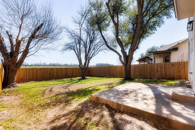 view of yard with a fenced backyard and a patio