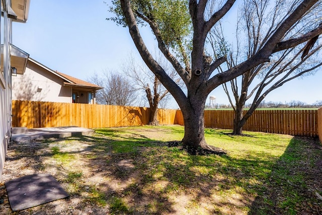 view of yard featuring a fenced backyard