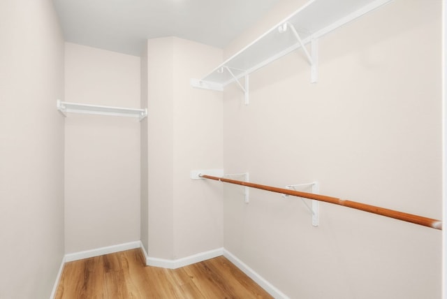 walk in closet featuring wood finished floors