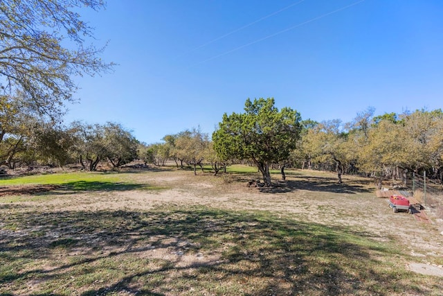 view of yard featuring a rural view