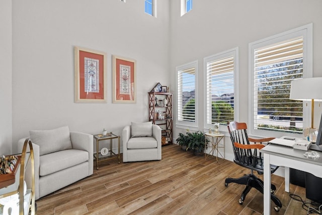 office space with a high ceiling and wood finished floors