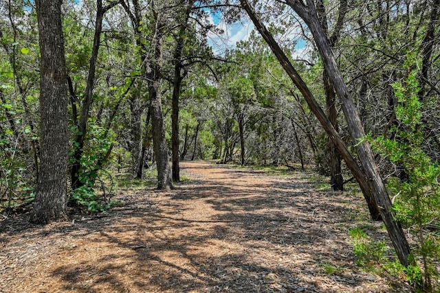 809 Beautyberry Ln, Leander, TX 78641 - photo 29