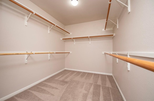 spacious closet featuring carpet