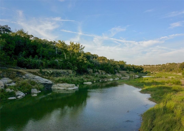 property view of water featuring a forest view