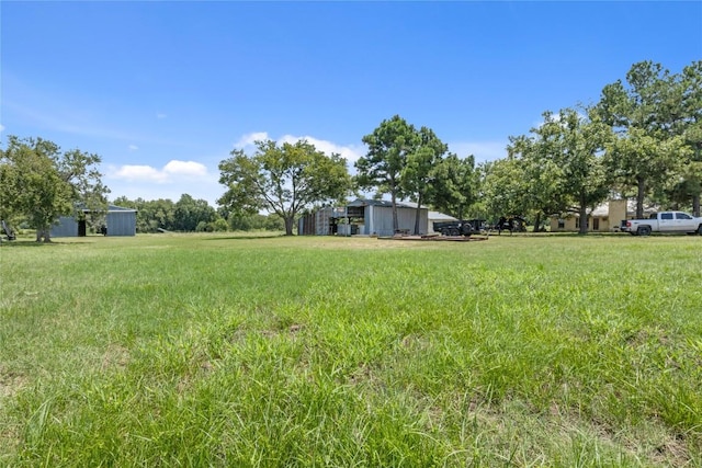 451 Pleasant Grove Rd, Elgin, TX 78621 - view of yard