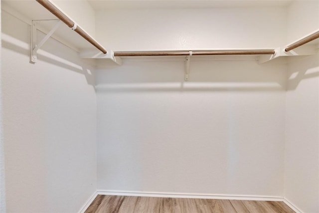 walk in closet featuring light wood-style flooring