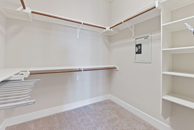 3129 Mill Stream Dr, Cedar Park, TX 78613 - walk in closet featuring carpet flooring
