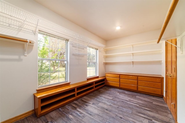 spacious closet featuring dark wood-style flooring