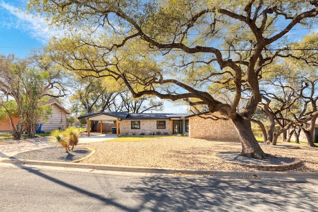 view of front of home featuring a carport and concrete driveway