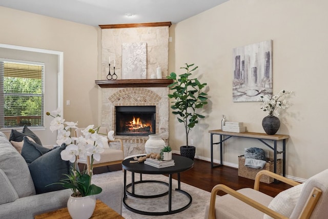 living area featuring baseboards, wood finished floors, and a fireplace