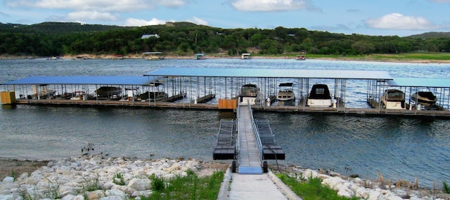 dock area with a water view