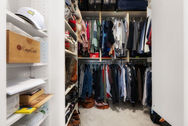 walk in closet featuring carpet flooring