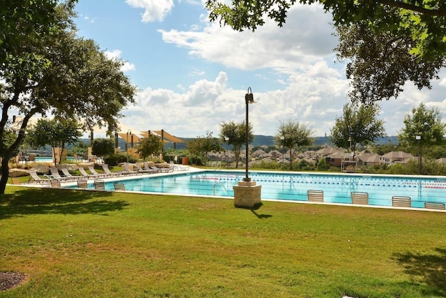 pool featuring a lawn