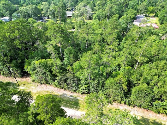 LOT8 Sir Ewaine Dr, Woodville TX, 75979 land for sale