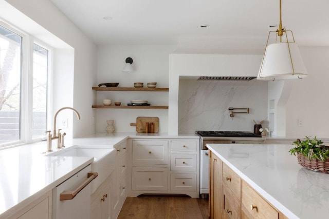 kitchen with tasteful backsplash, a sink, dishwasher, wood finished floors, and open shelves