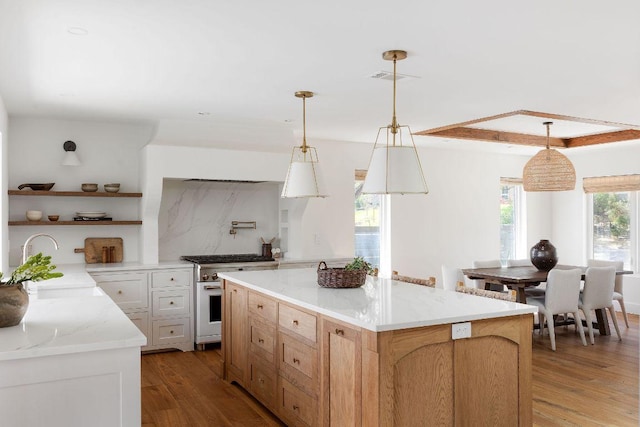 kitchen with a sink, a center island, light wood-type flooring, high end stainless steel range, and open shelves