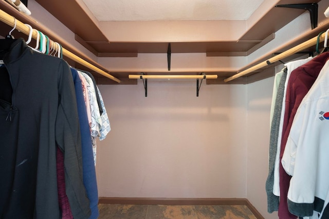 view of walk in closet