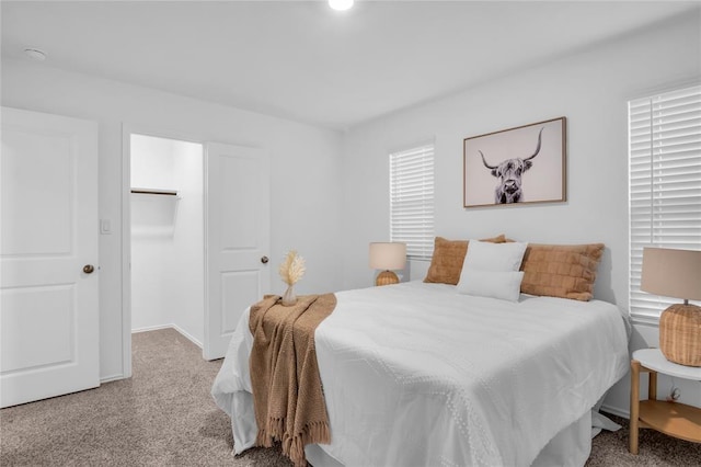 carpeted bedroom featuring a walk in closet and a closet