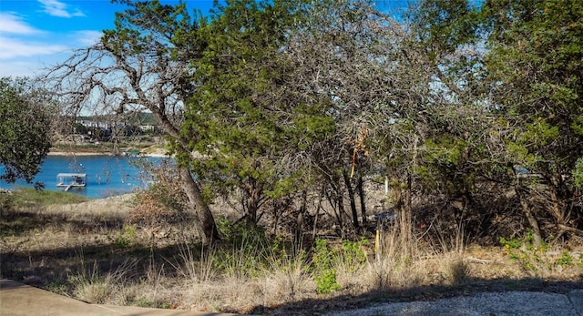 21909 Mockingbird St, Lago Vista, TX 78645 - photo 8