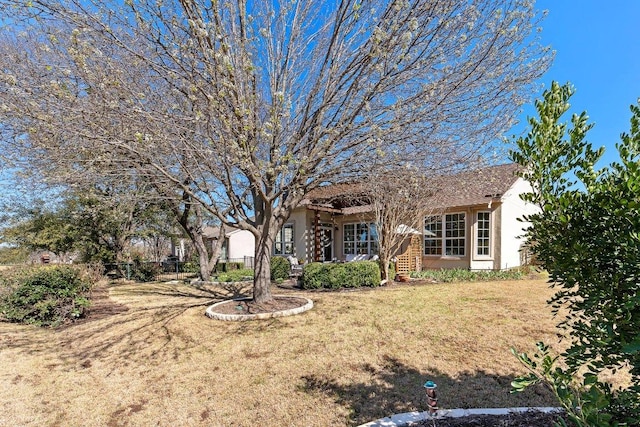 view of front of house featuring a front lawn and stucco siding