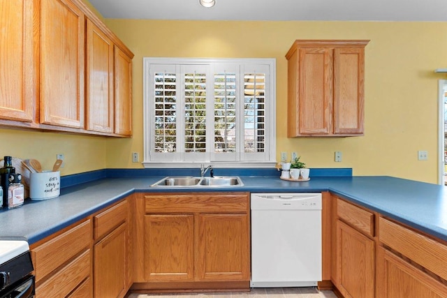 kitchen with stove, white dishwasher, and a sink