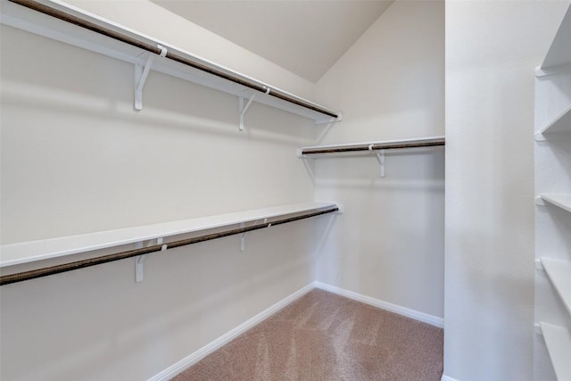 108 Trailstone Dr, Bastrop, TX 78602 - spacious closet with light colored carpet and lofted ceiling
