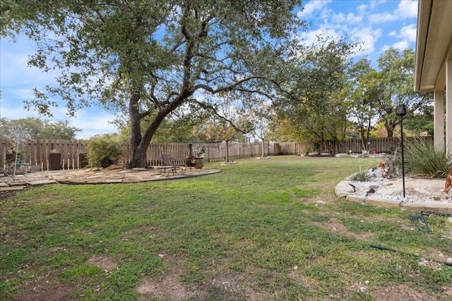 view of yard featuring a fenced backyard