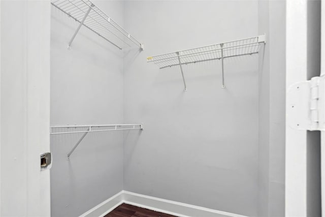 walk in closet featuring dark wood-style flooring