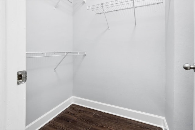 walk in closet with dark wood-style floors