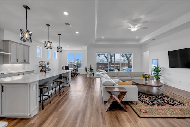 living area with visible vents, a raised ceiling, a ceiling fan, and light wood finished floors