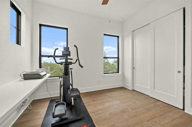 exercise room featuring light wood-style flooring, baseboards, and ceiling fan