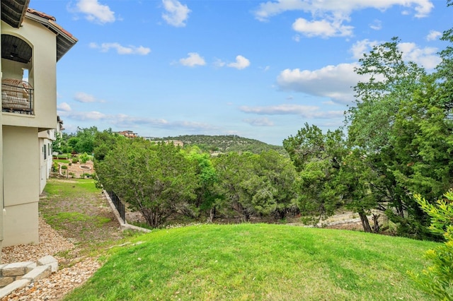 view of yard