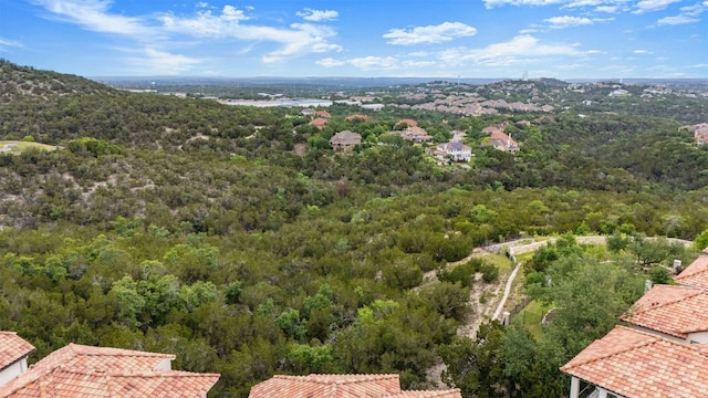 223 Honey Creek Ct Unit 12, Lakeway, TX 78738 - aerial view of a heavily wooded area