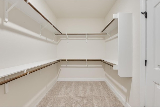 spacious closet featuring carpet flooring