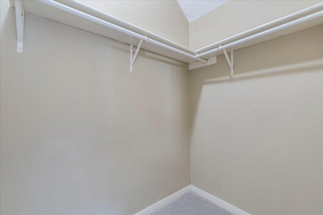 spacious closet with carpet flooring