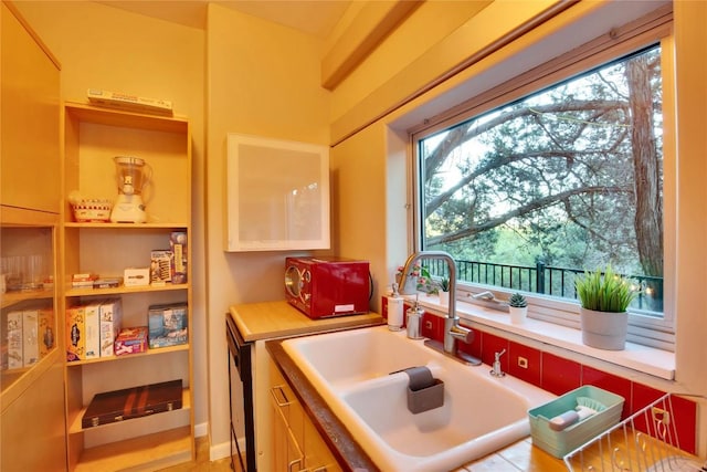 kitchen featuring light countertops and a sink