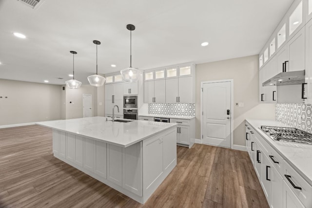 kitchen featuring under cabinet range hood, stainless steel appliances, light wood-type flooring, and a sink