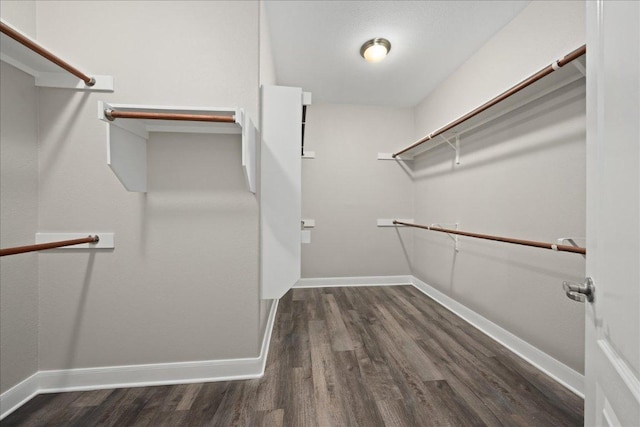 157 Mcgarity, Kyle, TX 78640 - spacious closet with wood finished floors