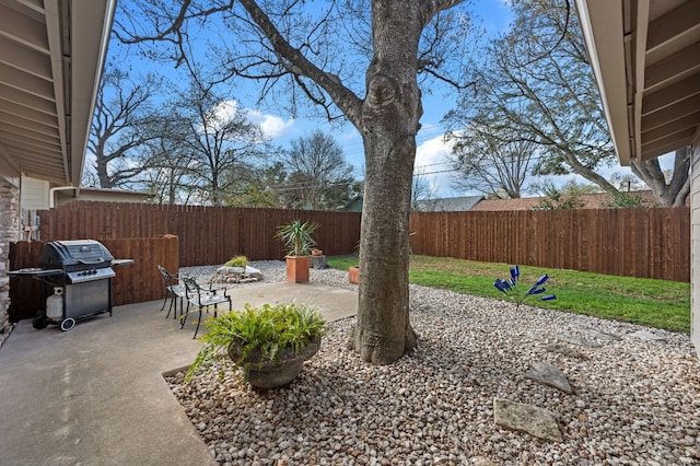 view of patio / terrace with a fenced backyard and grilling area