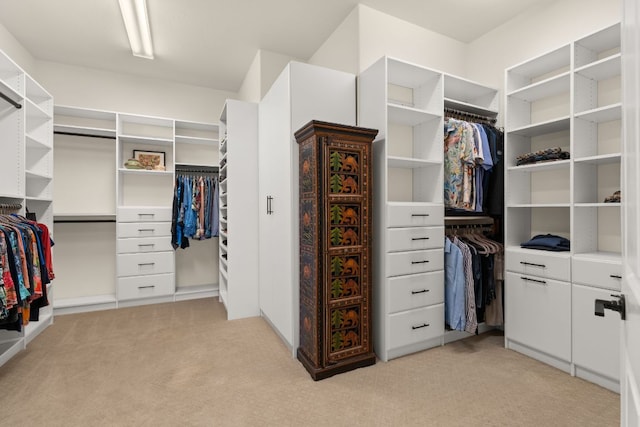 spacious closet with light colored carpet