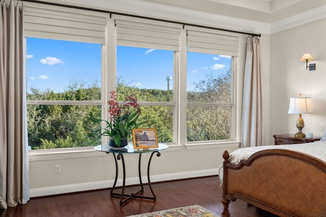 bedroom featuring dark wood-type flooring, multiple windows, and baseboards